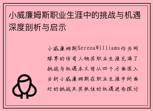 小威廉姆斯职业生涯中的挑战与机遇深度剖析与启示